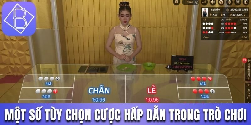 Một số tùy chọn cược hấp dẫn trong trò chơi