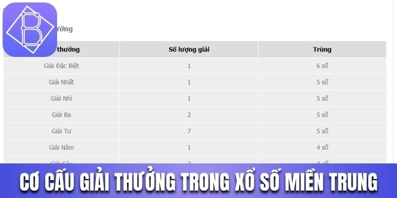 XSMT có tỷ lệ trả thưởng hấp dẫn cho từng loại cược 