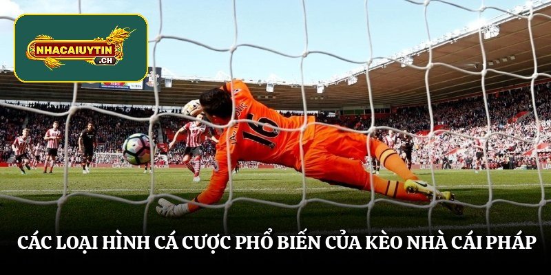 Các loại hình cá cược phổ biến của kèo nhà cái Pháp