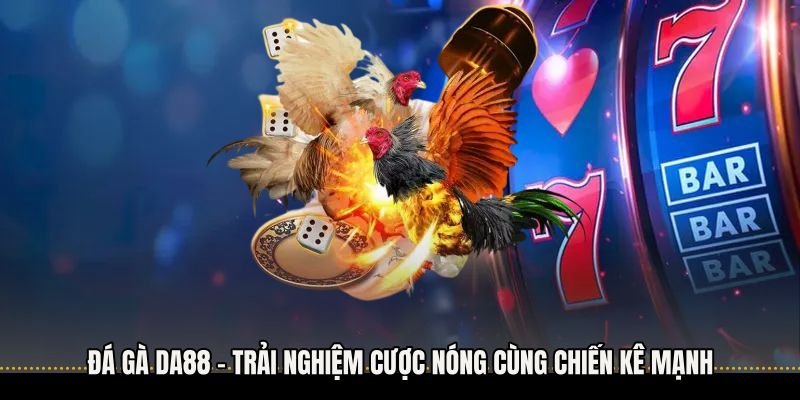 Đá Gà Da88 - Trải Nghiệm Cược Nóng Cùng Chiến Kê Mạnh