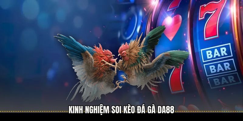 Kinh nghiệm soi kèo Đá gà Da88