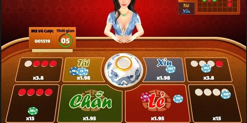 Tổng quan về cầu xóc đĩa trong tư duy người chơi hiện đại